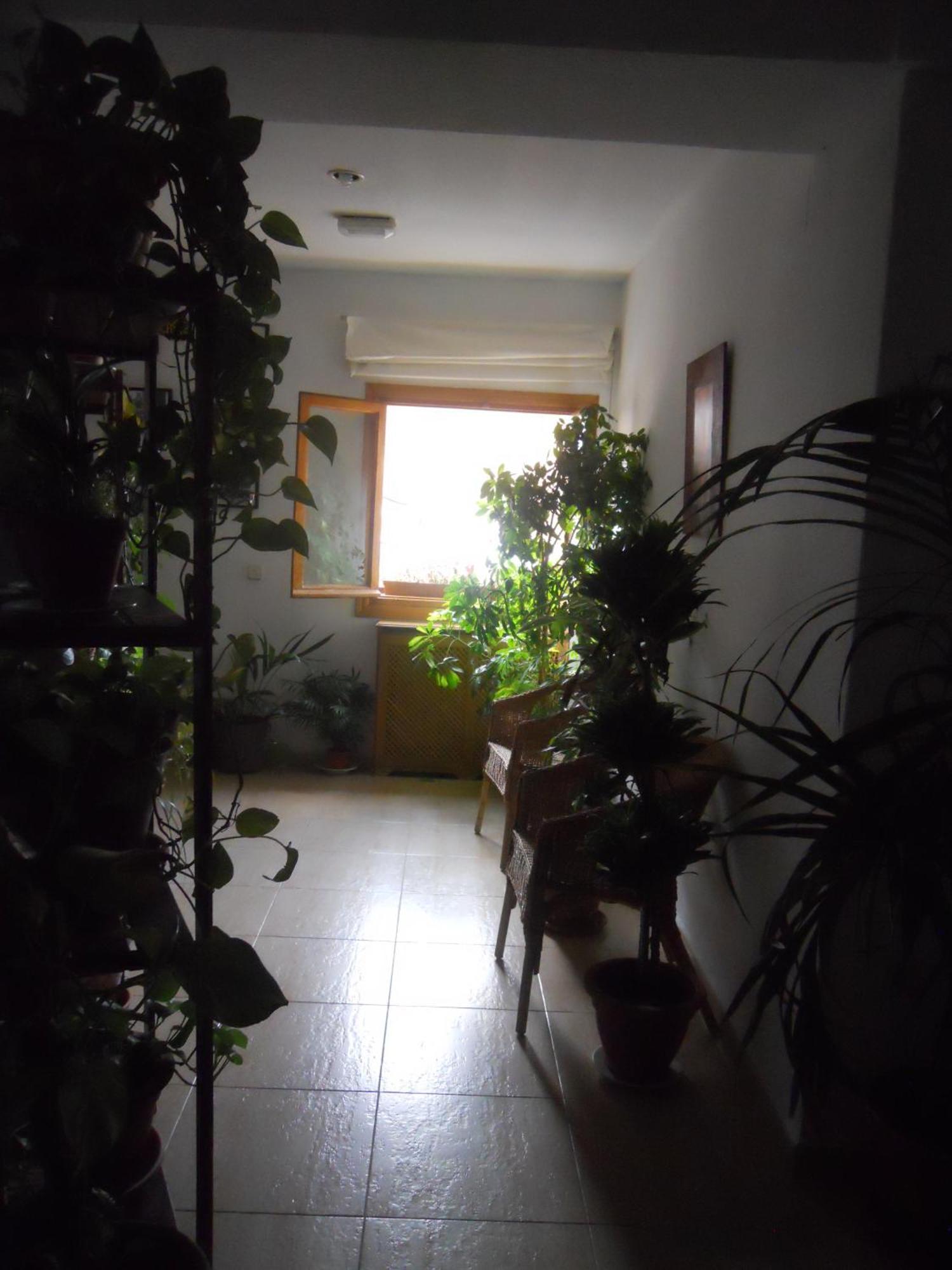 Hostal El Descanso Μαδρίτη Εξωτερικό φωτογραφία