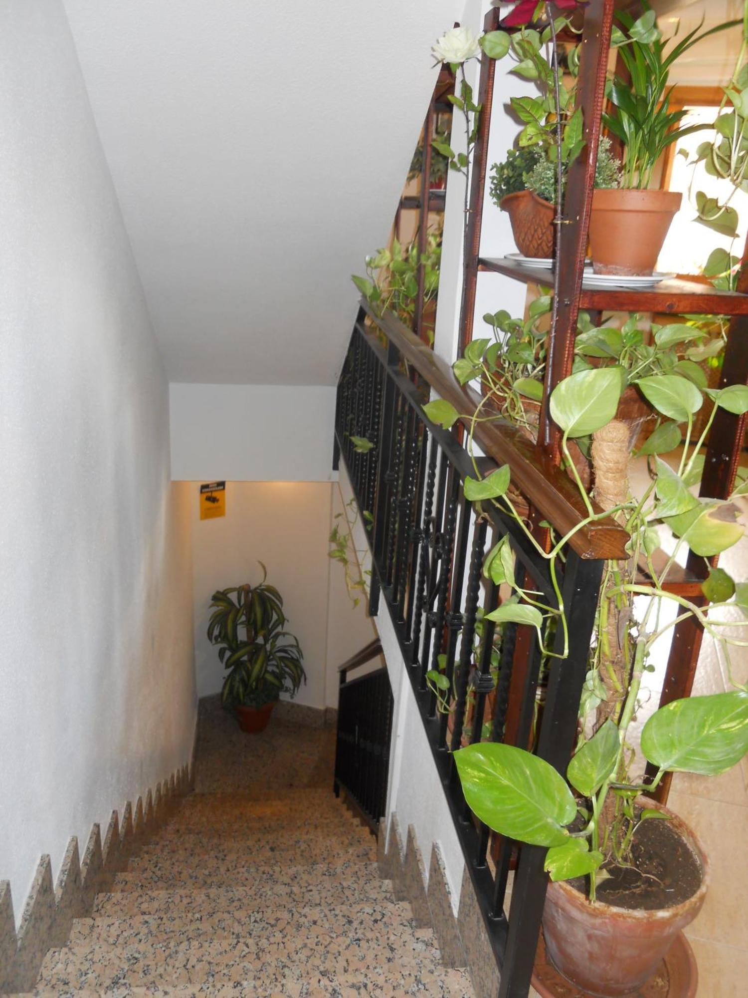 Hostal El Descanso Μαδρίτη Εξωτερικό φωτογραφία